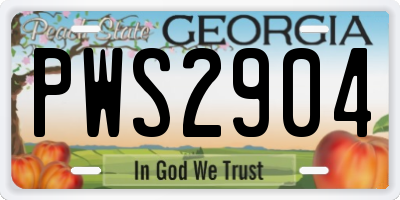 GA license plate PWS2904