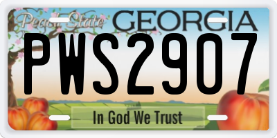 GA license plate PWS2907