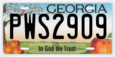 GA license plate PWS2909