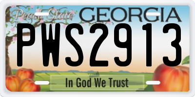 GA license plate PWS2913