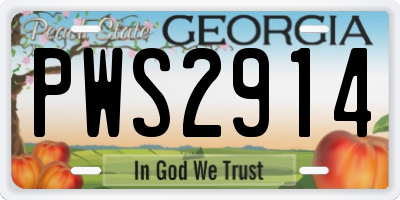 GA license plate PWS2914