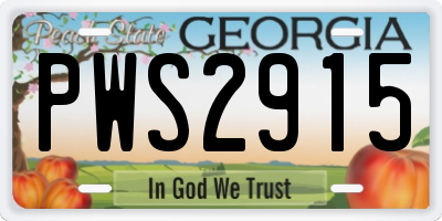 GA license plate PWS2915