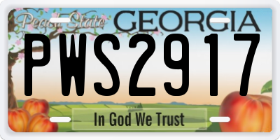 GA license plate PWS2917