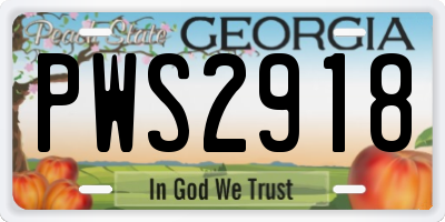 GA license plate PWS2918