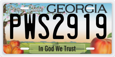 GA license plate PWS2919