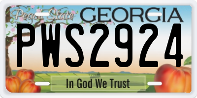 GA license plate PWS2924