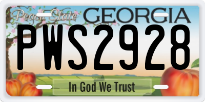 GA license plate PWS2928