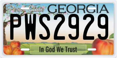 GA license plate PWS2929