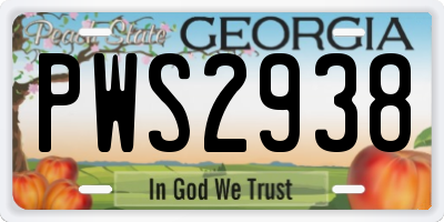 GA license plate PWS2938