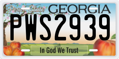 GA license plate PWS2939