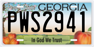 GA license plate PWS2941