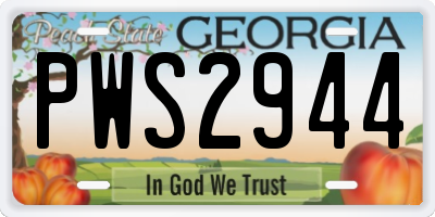 GA license plate PWS2944