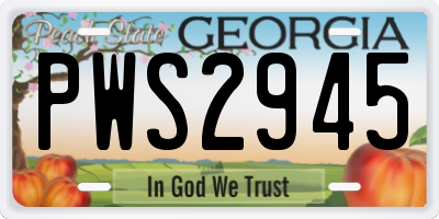 GA license plate PWS2945