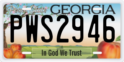 GA license plate PWS2946