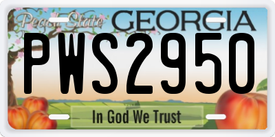 GA license plate PWS2950
