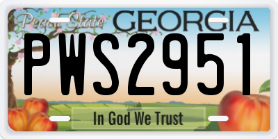 GA license plate PWS2951