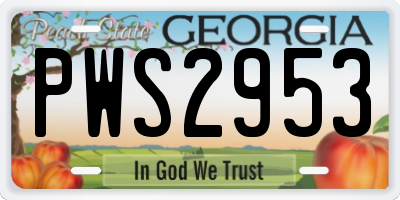 GA license plate PWS2953