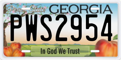 GA license plate PWS2954