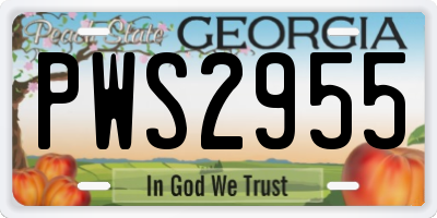 GA license plate PWS2955