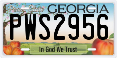 GA license plate PWS2956
