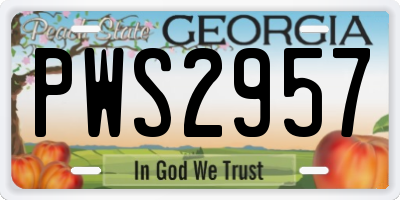GA license plate PWS2957