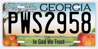 GA license plate PWS2958