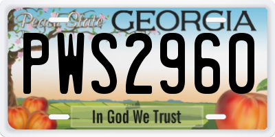 GA license plate PWS2960