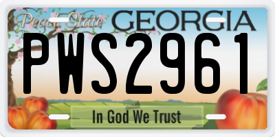 GA license plate PWS2961