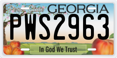 GA license plate PWS2963