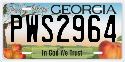 GA license plate PWS2964