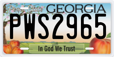 GA license plate PWS2965