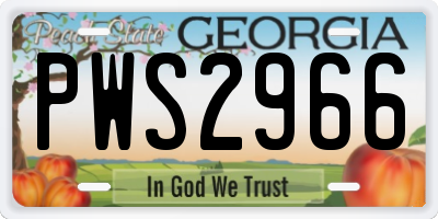 GA license plate PWS2966
