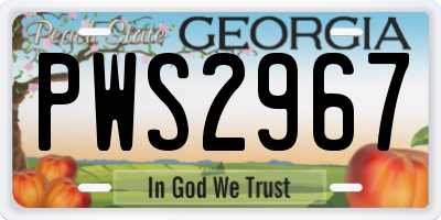 GA license plate PWS2967