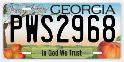 GA license plate PWS2968
