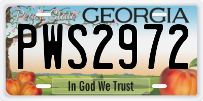GA license plate PWS2972