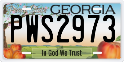 GA license plate PWS2973