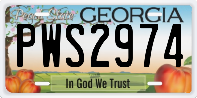 GA license plate PWS2974
