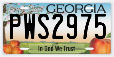 GA license plate PWS2975