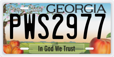 GA license plate PWS2977