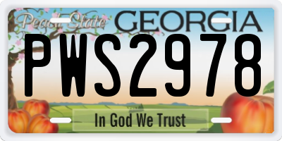 GA license plate PWS2978