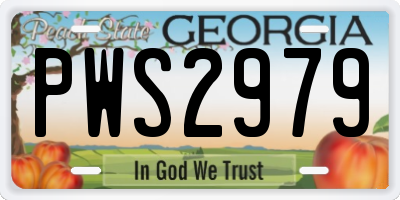 GA license plate PWS2979