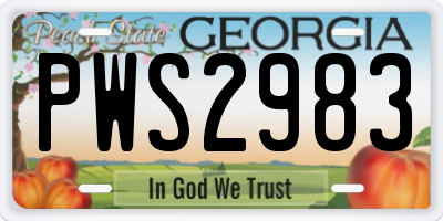 GA license plate PWS2983