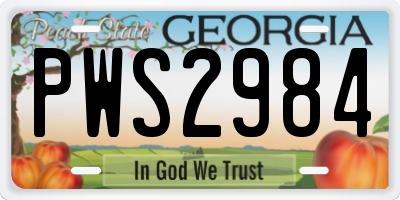 GA license plate PWS2984