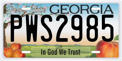 GA license plate PWS2985