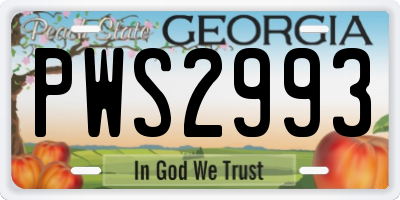 GA license plate PWS2993