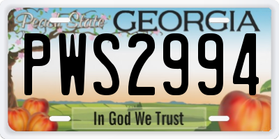 GA license plate PWS2994