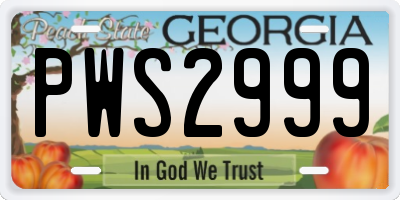 GA license plate PWS2999