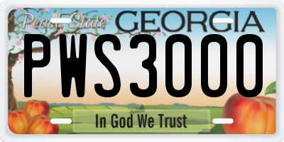 GA license plate PWS3000