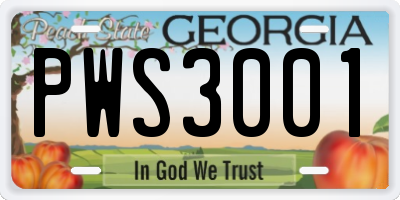 GA license plate PWS3001
