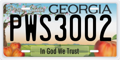 GA license plate PWS3002
